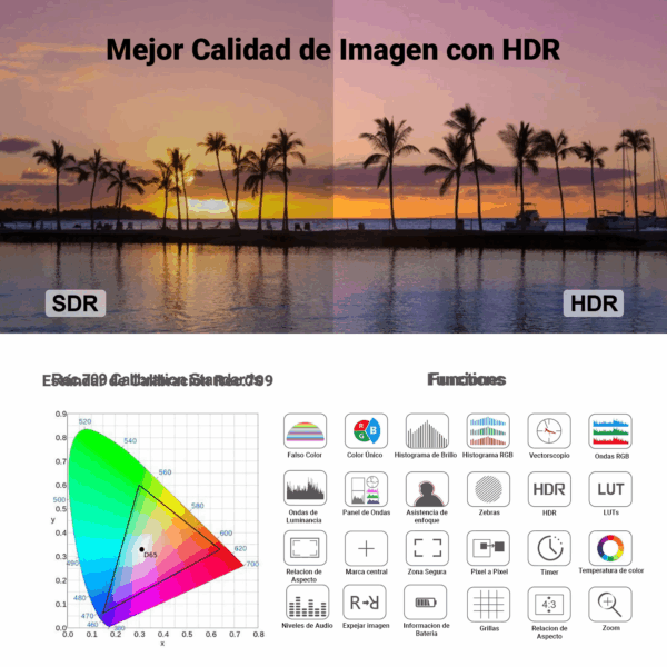 Monitor de Campo Desview R5ii